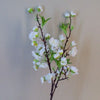Cherry Blossom Crown
